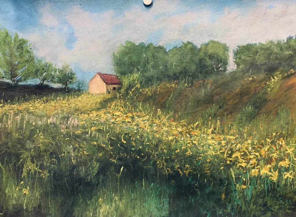 Whispers of Spring: A Serene Meadow Embracing Nature's Beauty