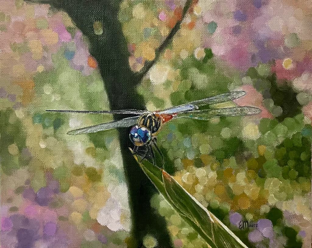 "Dragonfly Serenade"