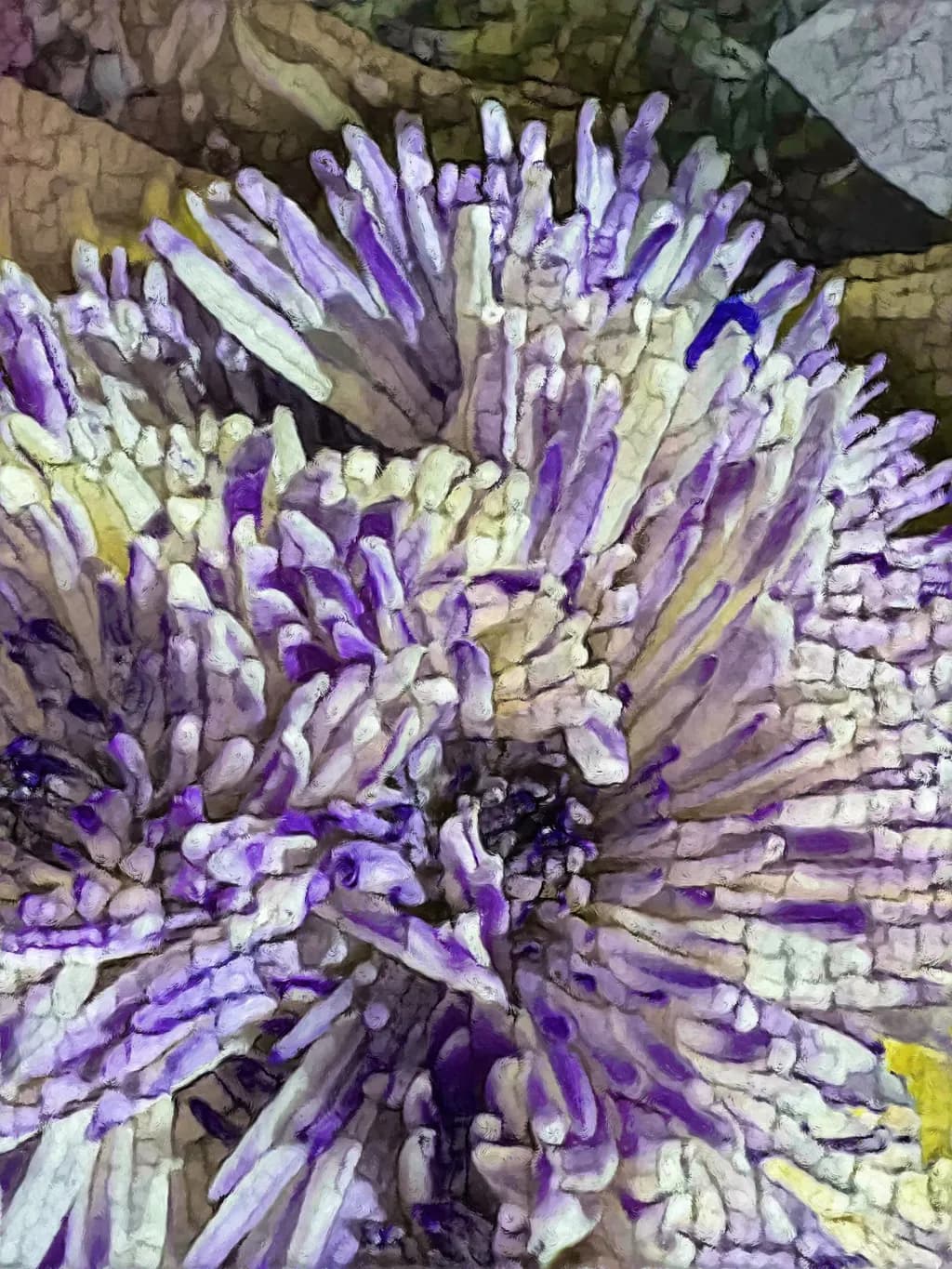 Purple Coral Bloom