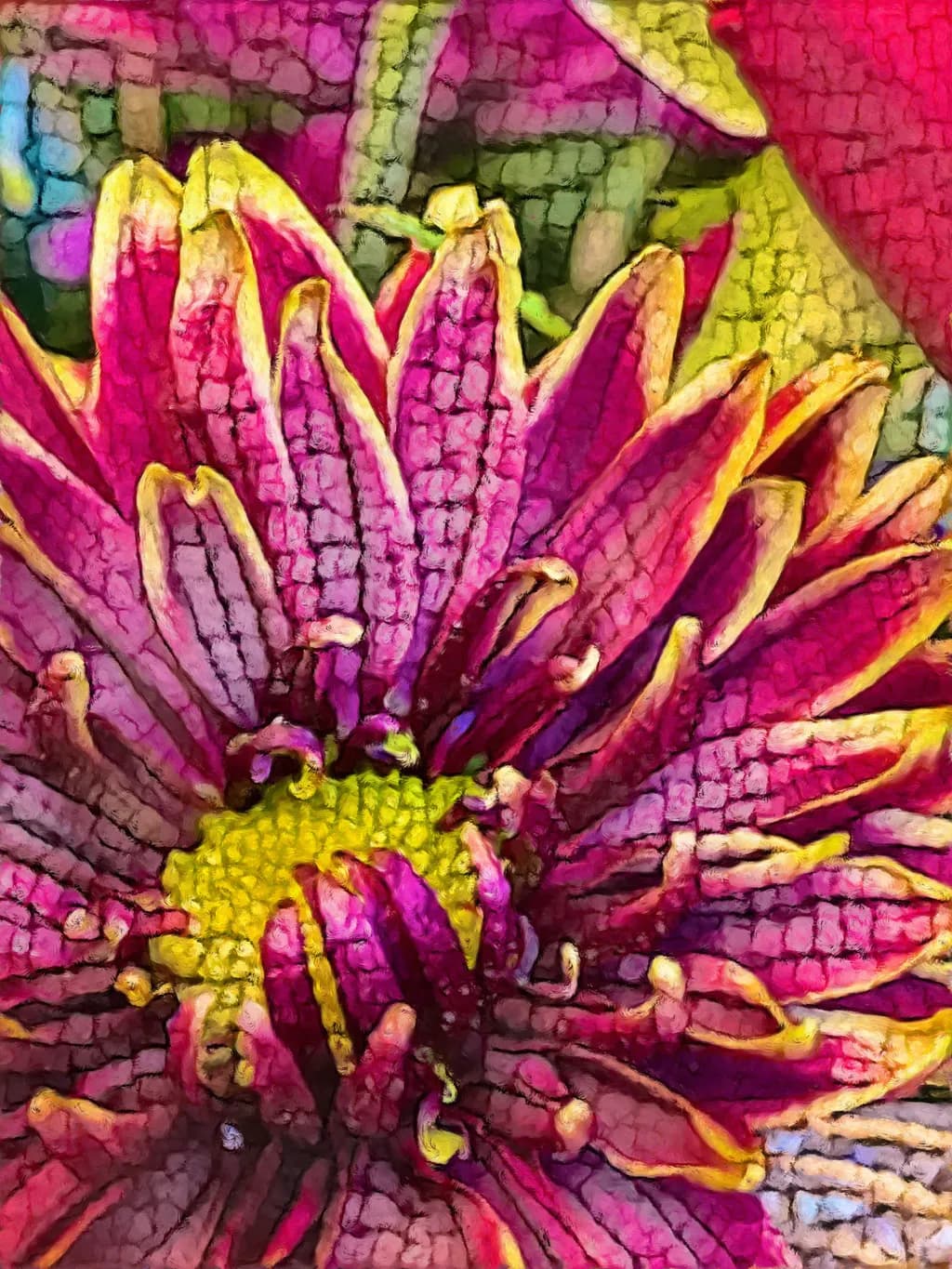 Pink Flower Closeup