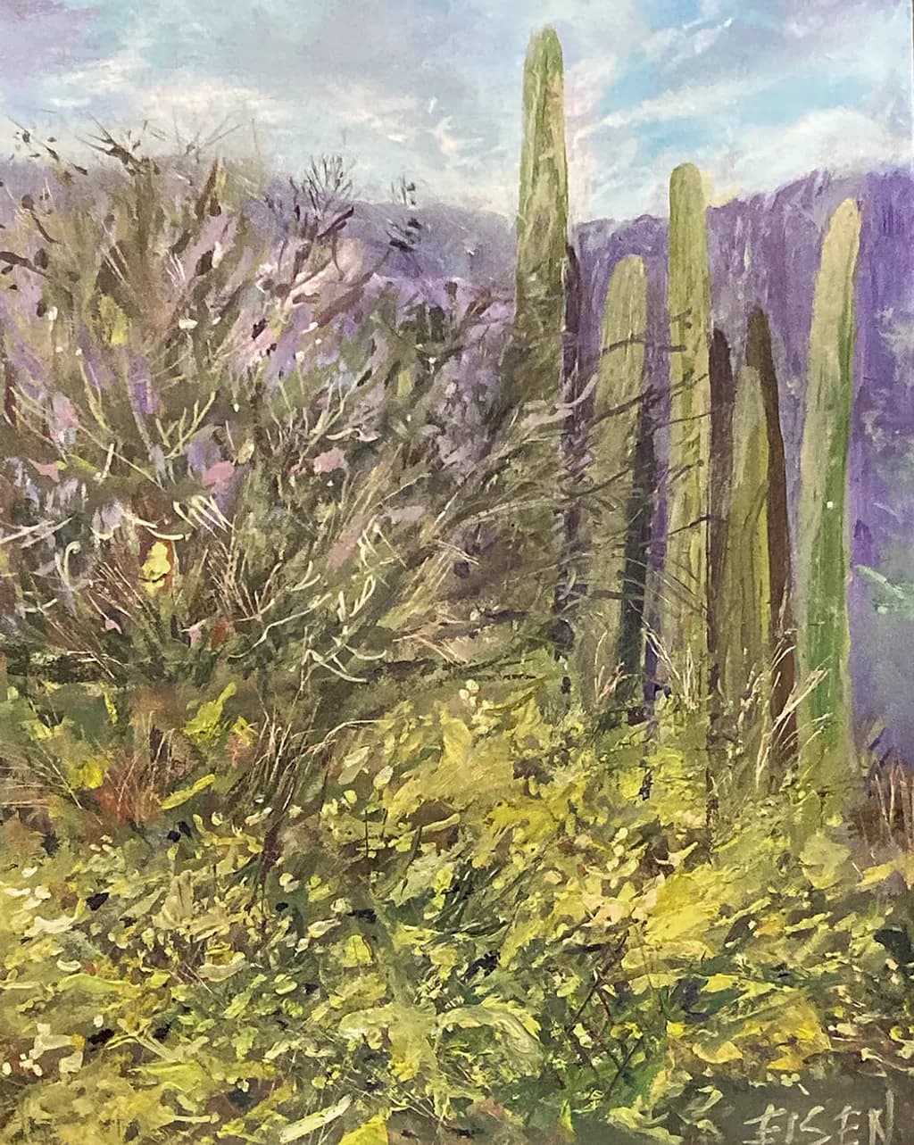 Desert Spring Bloom