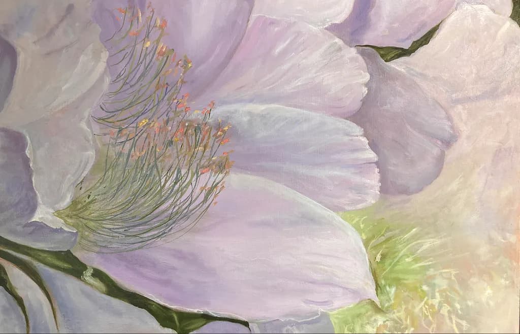Cereus Bloom