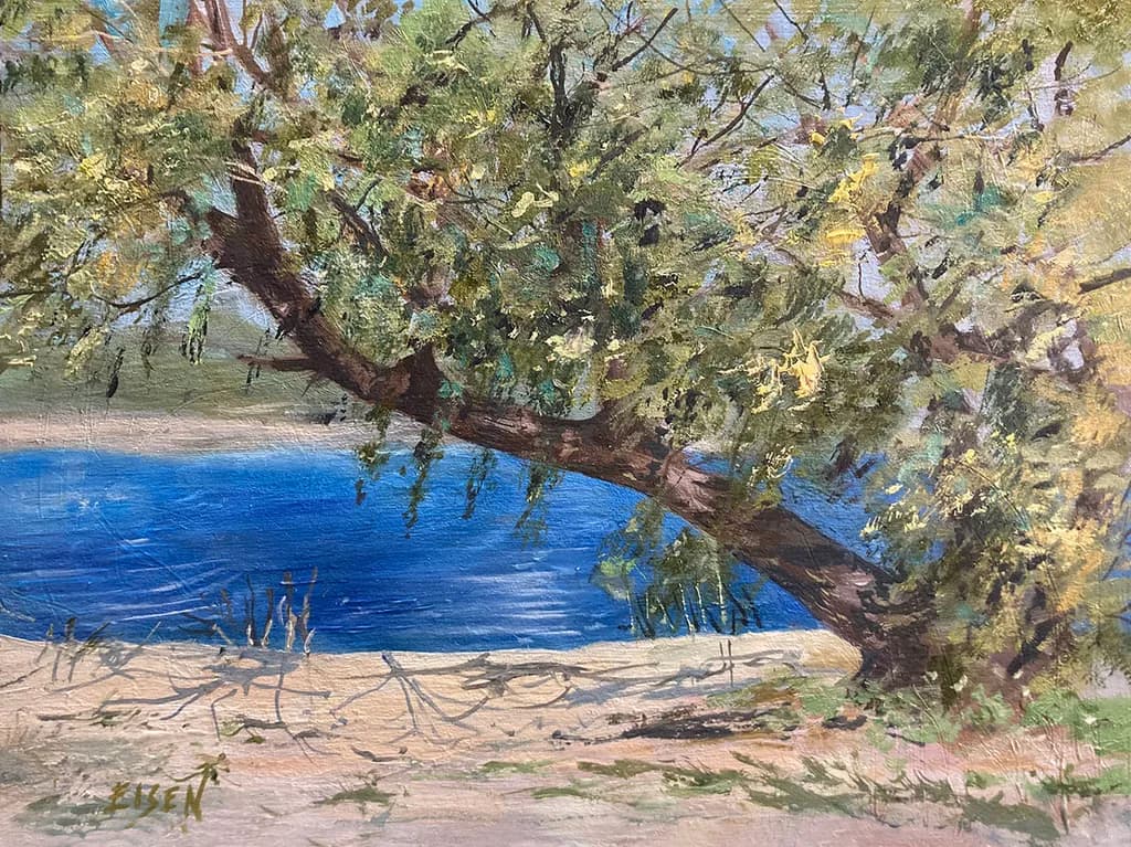 Silverbell Lake View