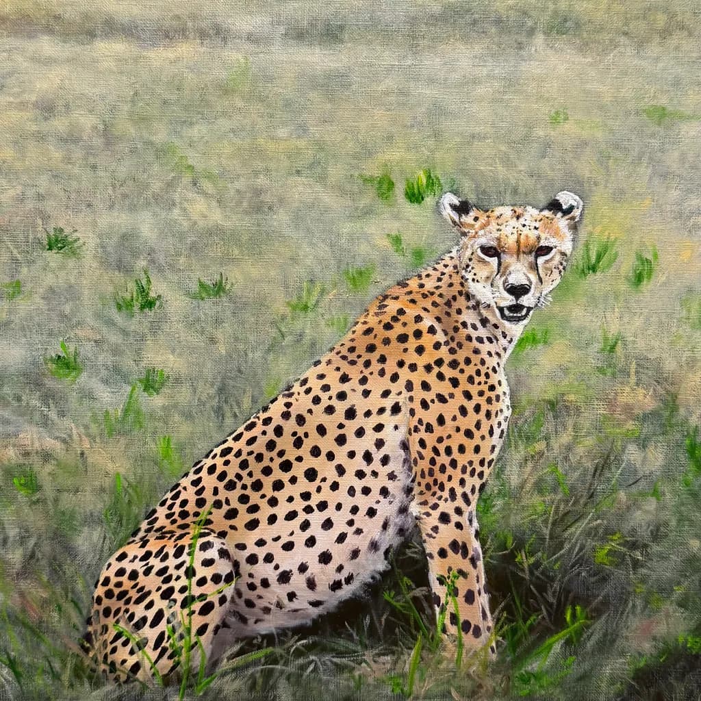Cheetah in Grass