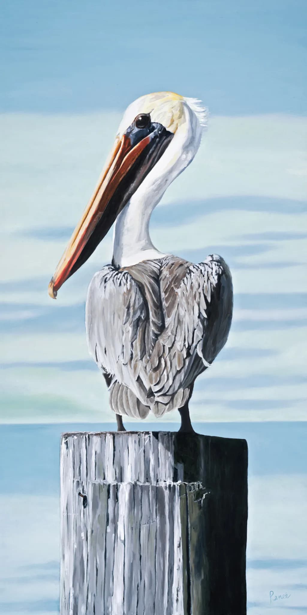 Pelican Perch