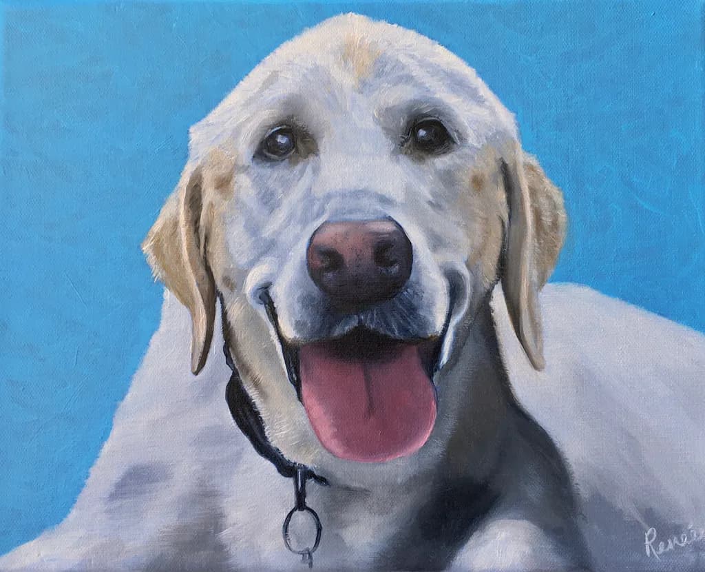 Joyful Companion