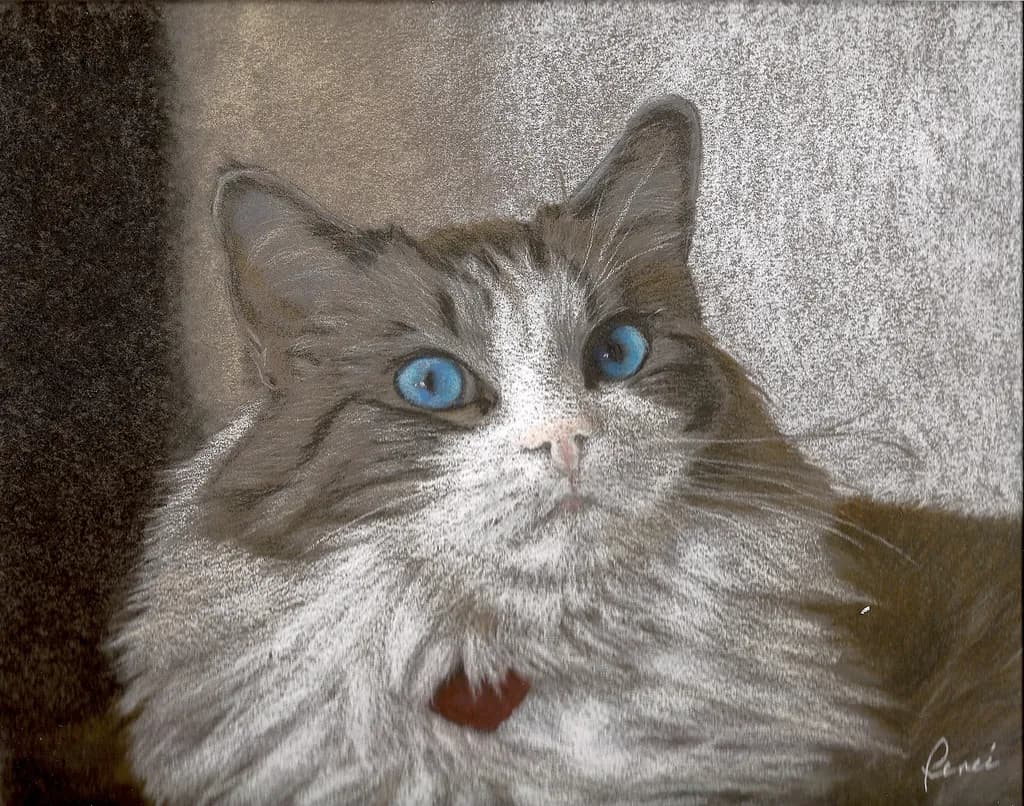 Blue-Eyed Companion