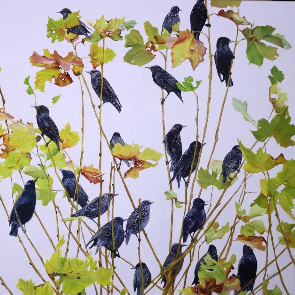 Gathering Starlings