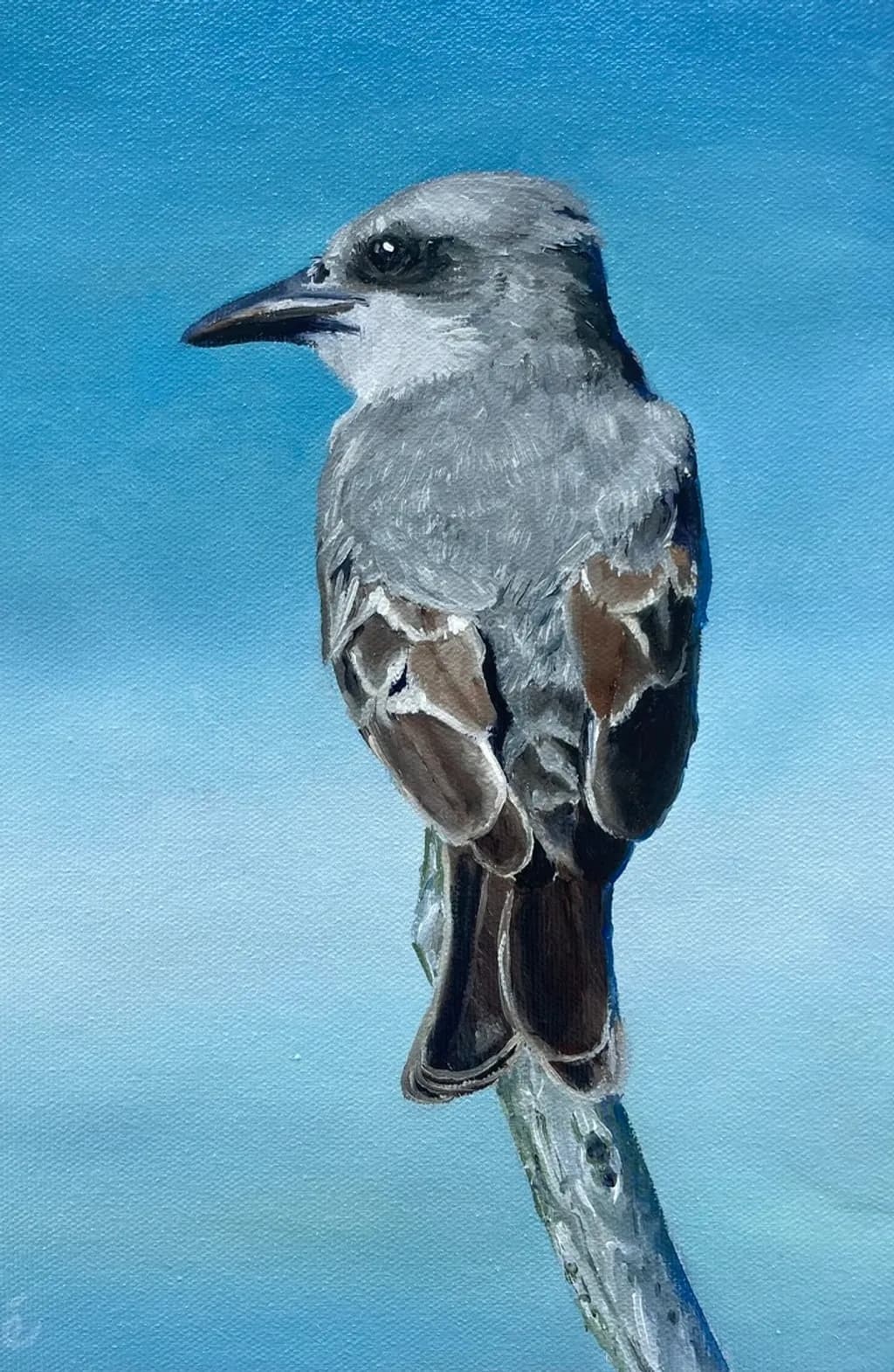 Perched Gray Bird