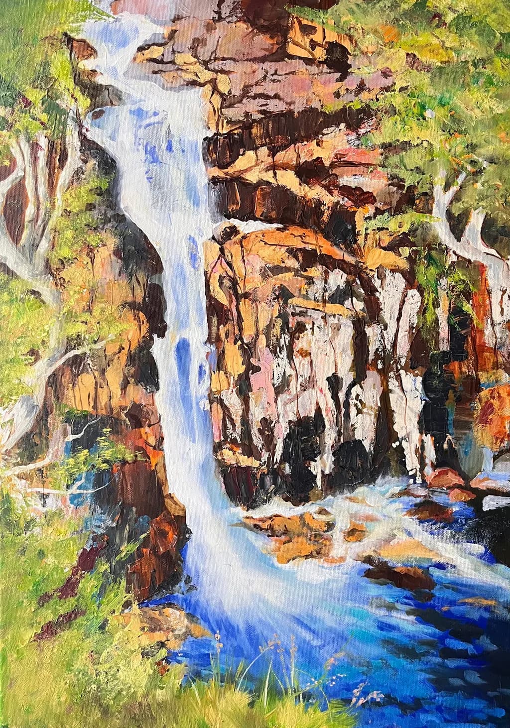 Rugged Waterfall Gorge