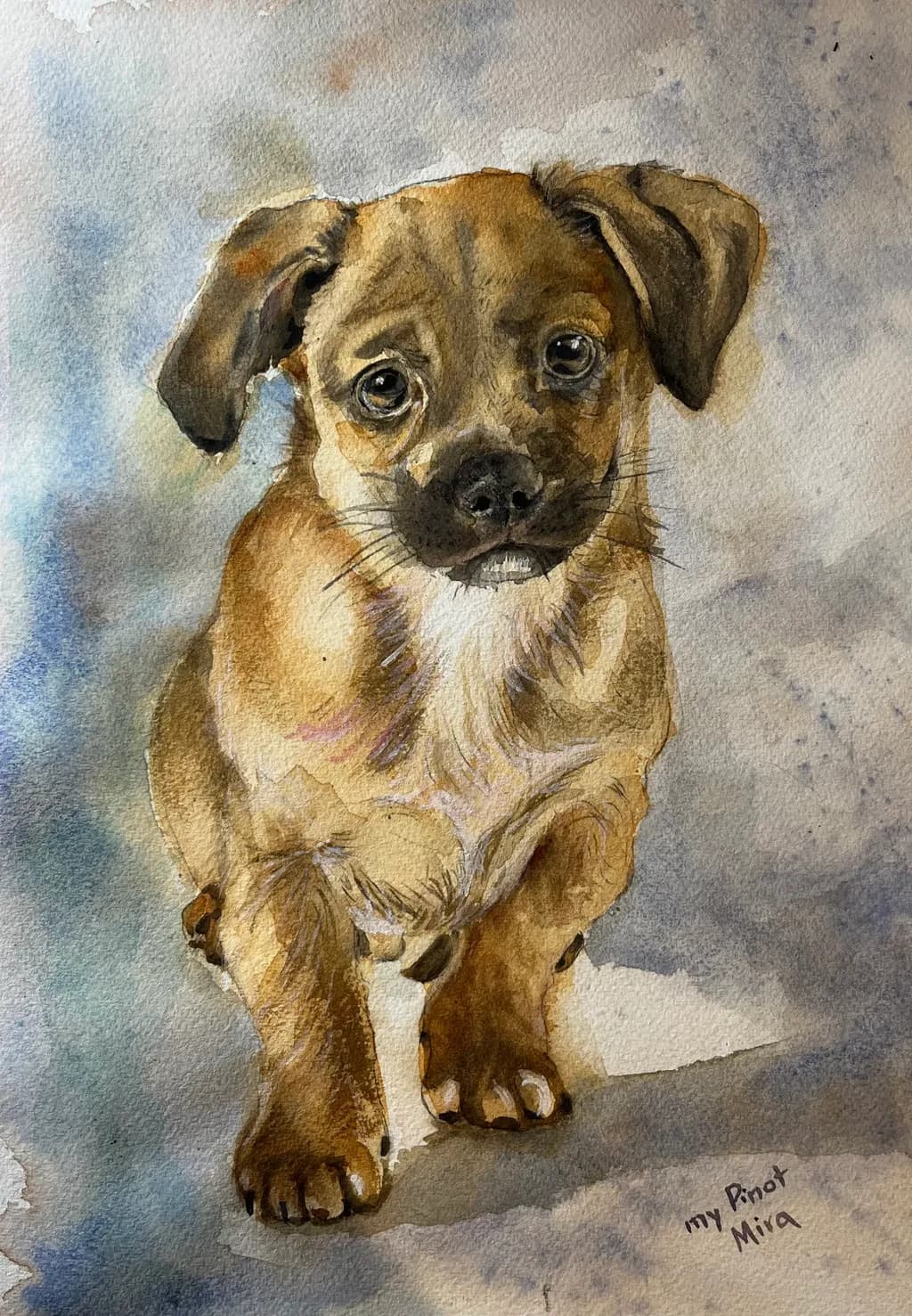Pensive Pup