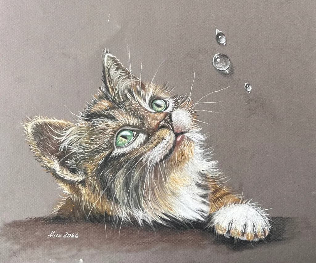 Bubble Watcher