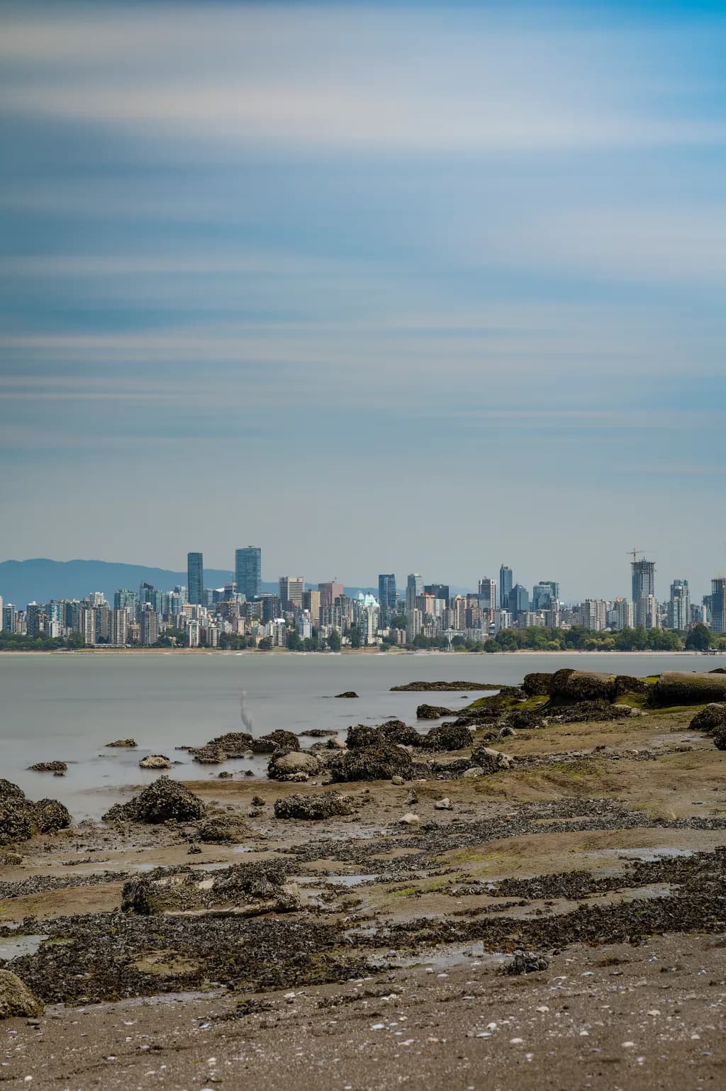 Harmony of City and Coast