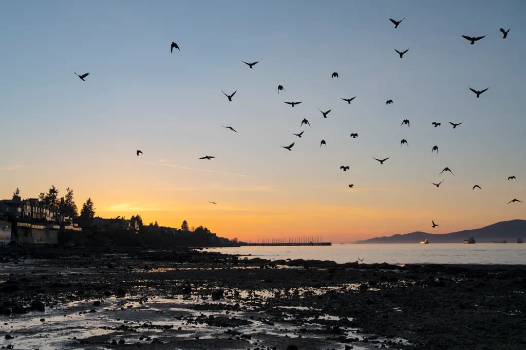 Nature's Symphony: Birds in Flight at Dusk