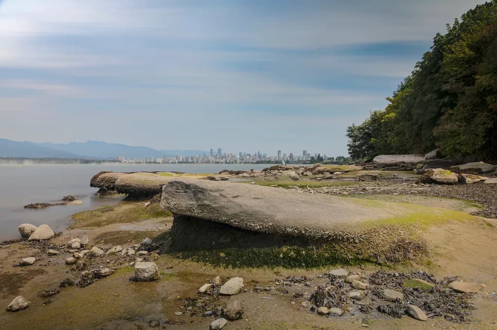 Coastal Cityscape: Nature and Urban Life in Harmony