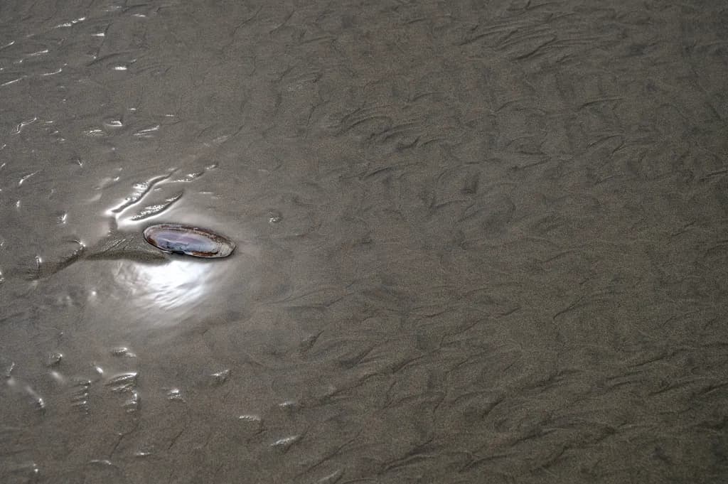 Nature's Canvas of Sand and Sea