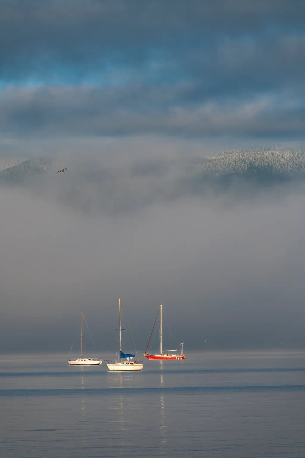 Whispers of the Mist