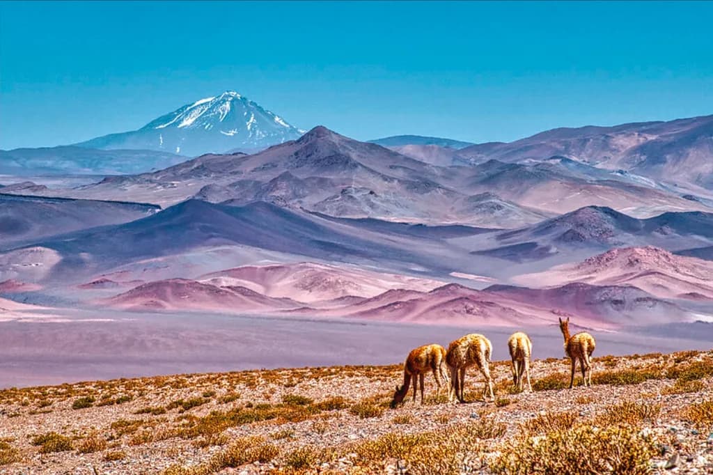 Mountain Grazing Landscape