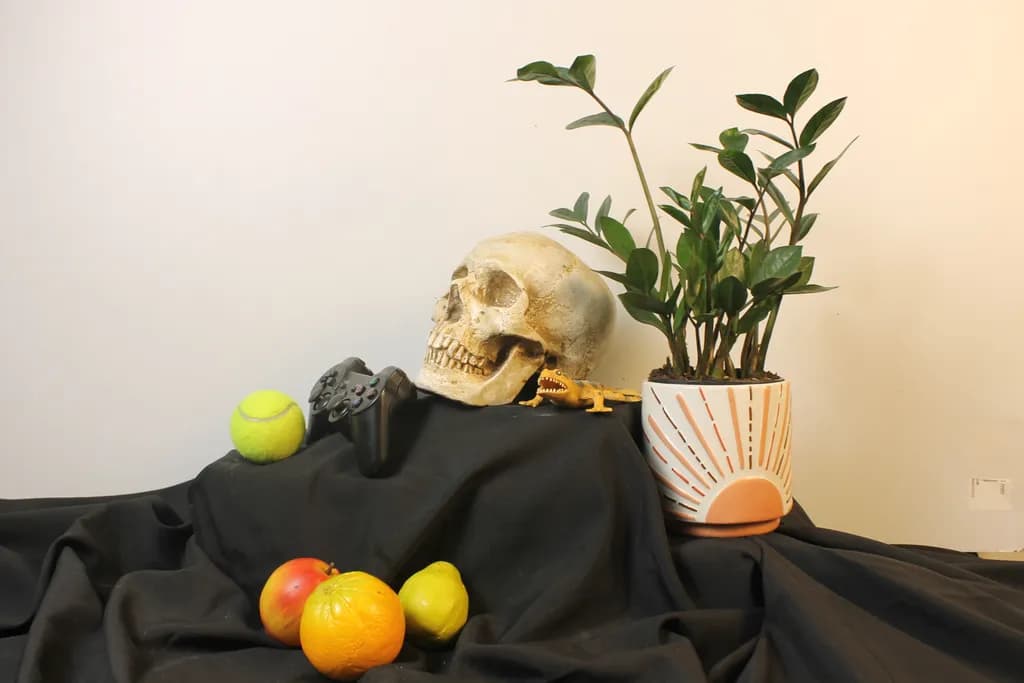 Still Life Contrast