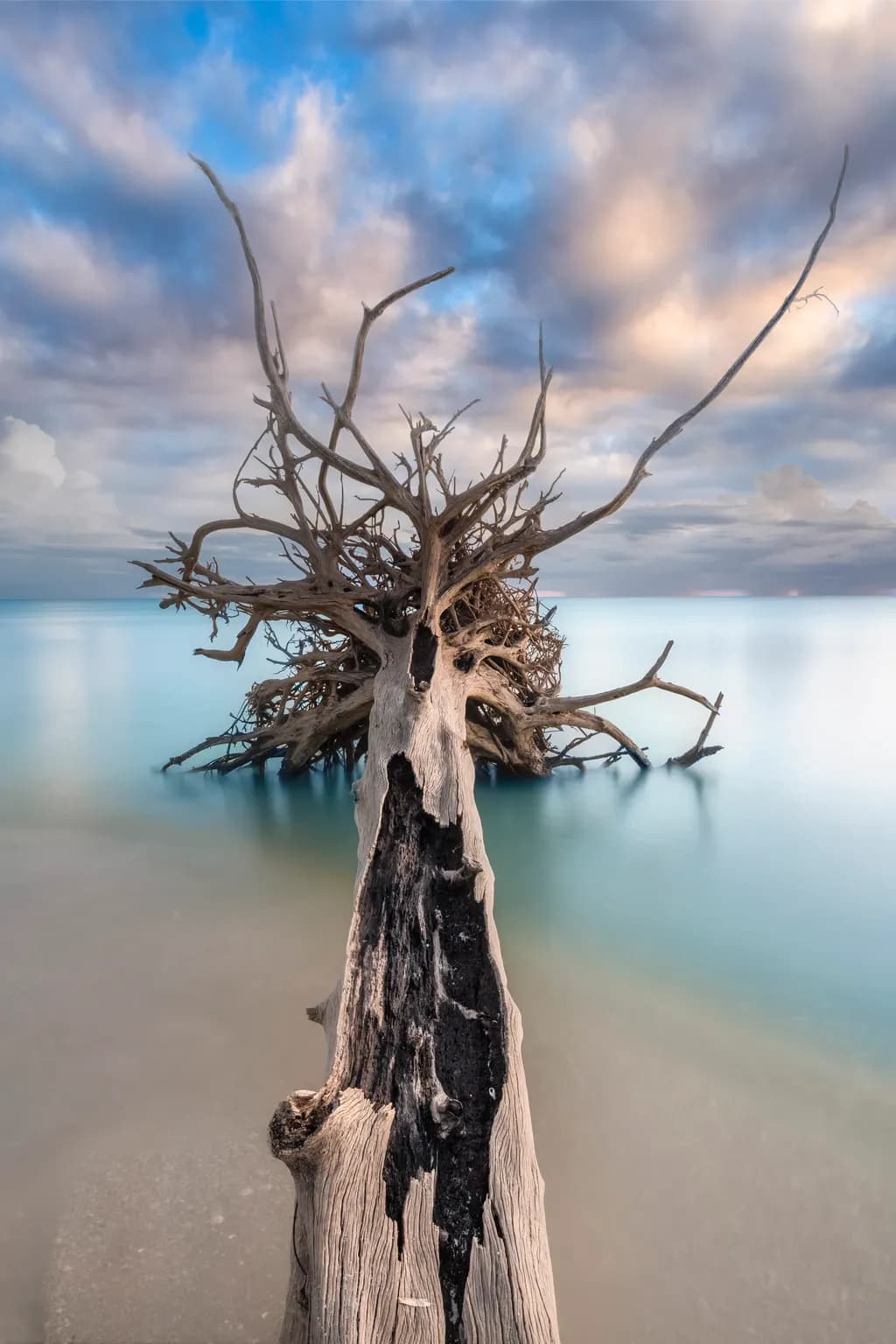 Lovers Key Tree
