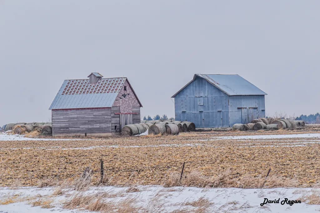 Rustic Winter Barns