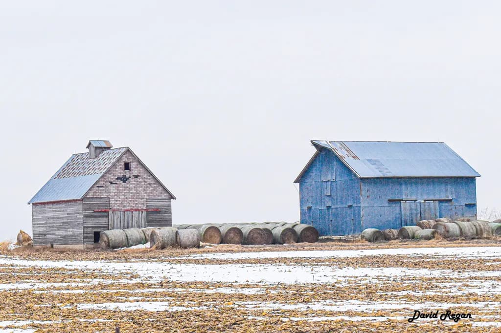 Winter Barns