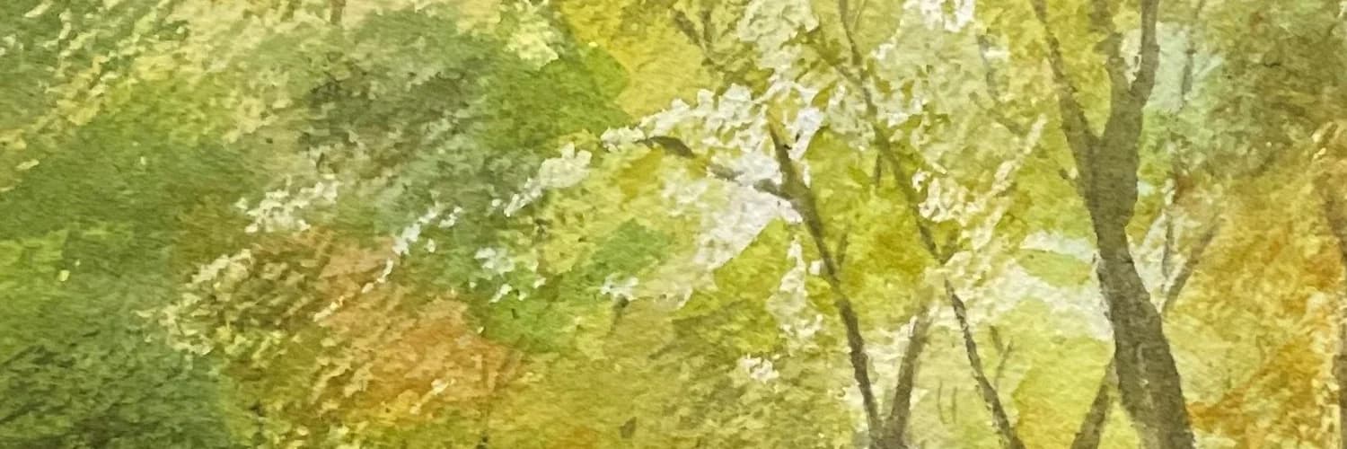 Banner del perfil