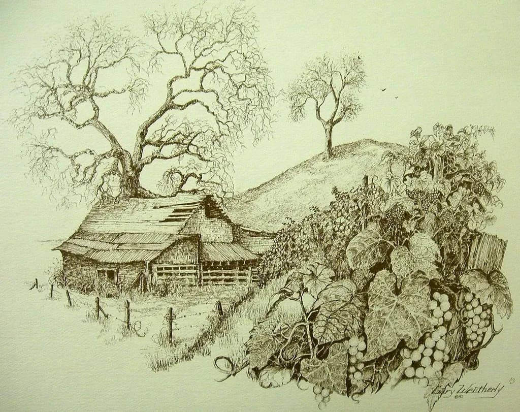 Napa Valley Serenity: A Detailed Study of Southwest Landscape and Indigenous Heritage