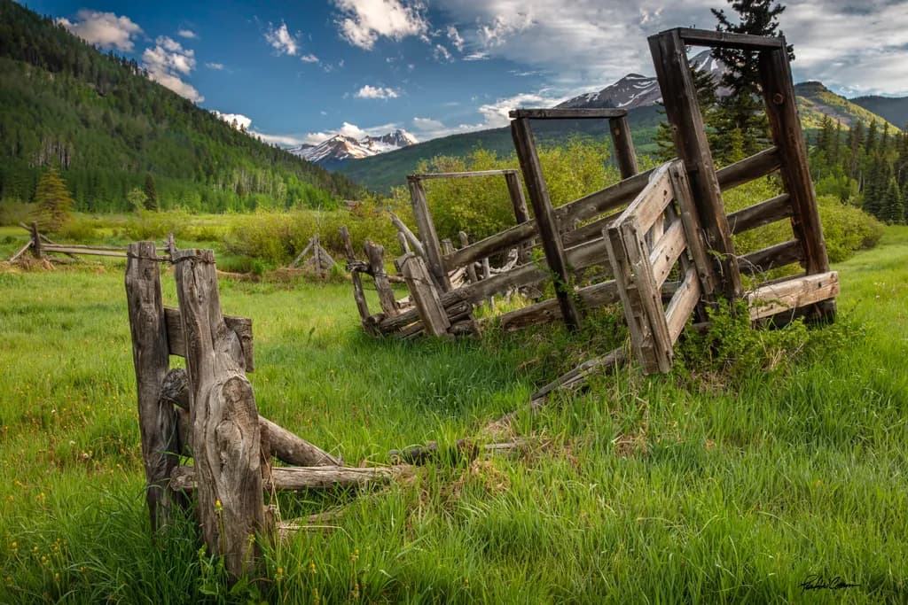 Whispers of Time: Nature's Embrace in the San Juan Mountains