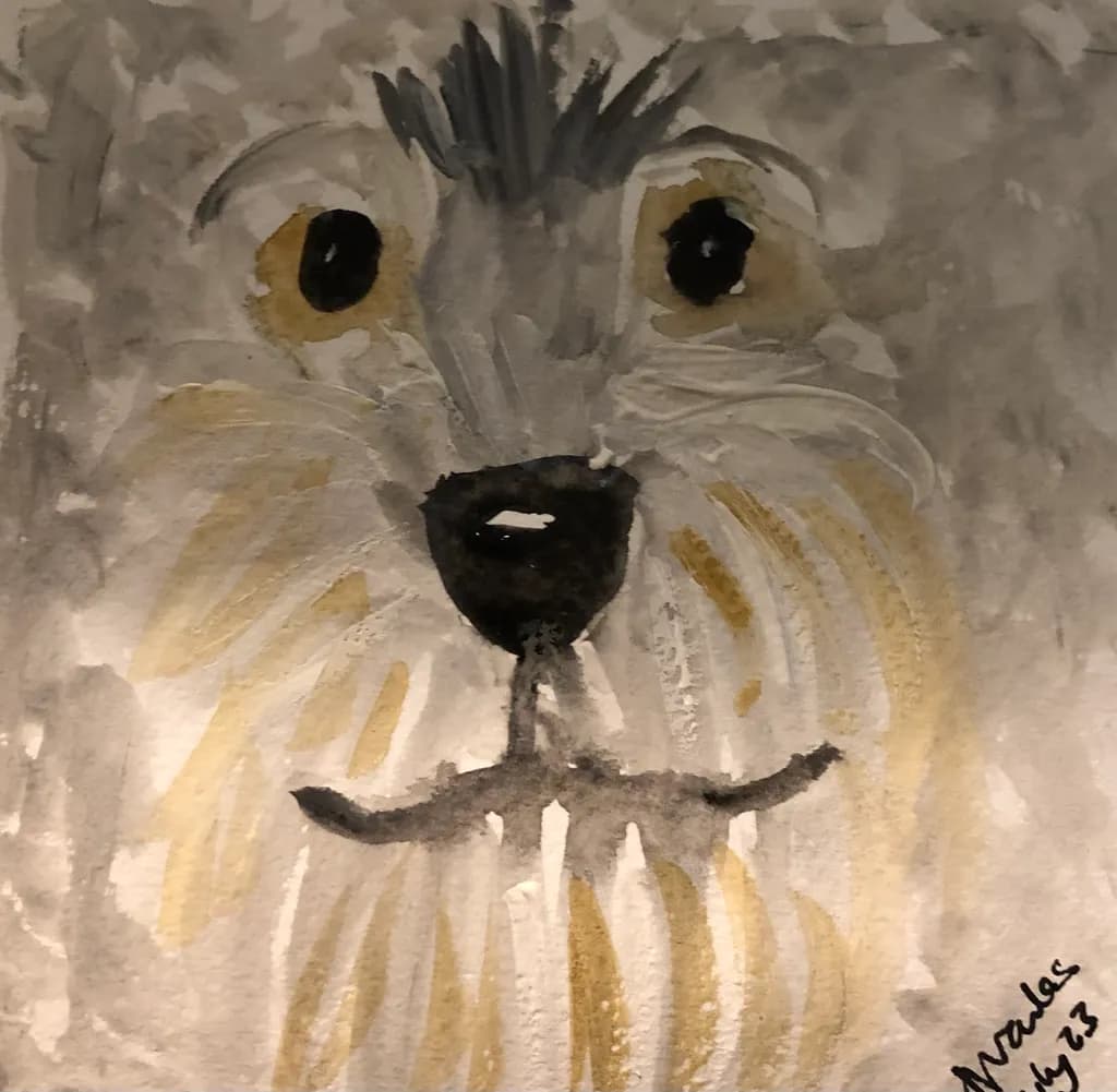 Furry Expression