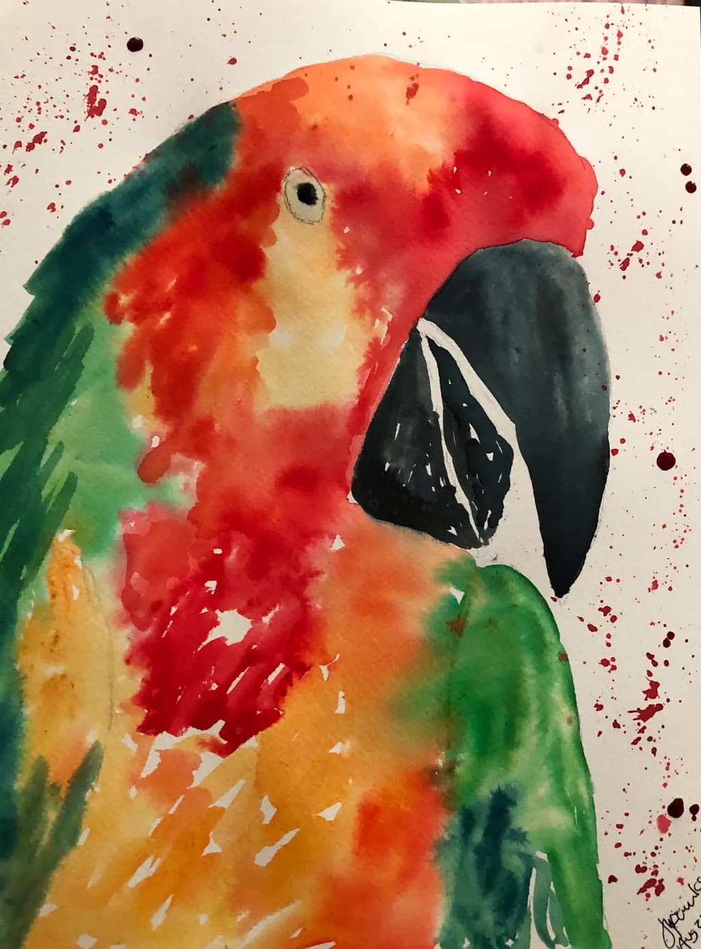 Colorful Parrot Portrait