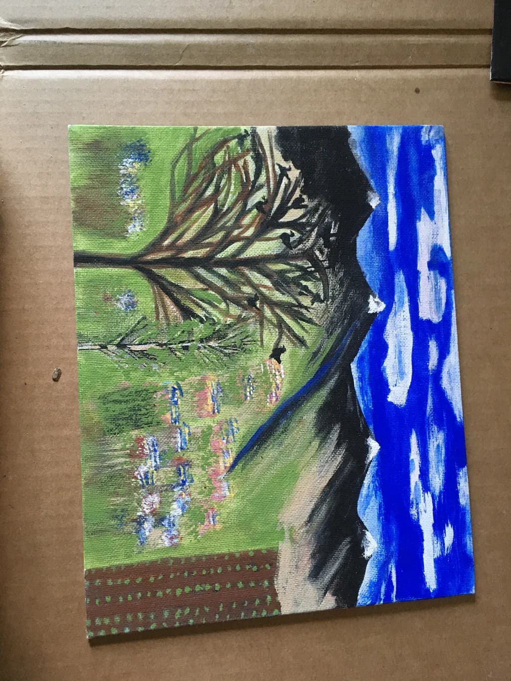 Mountain Meadow Landscape