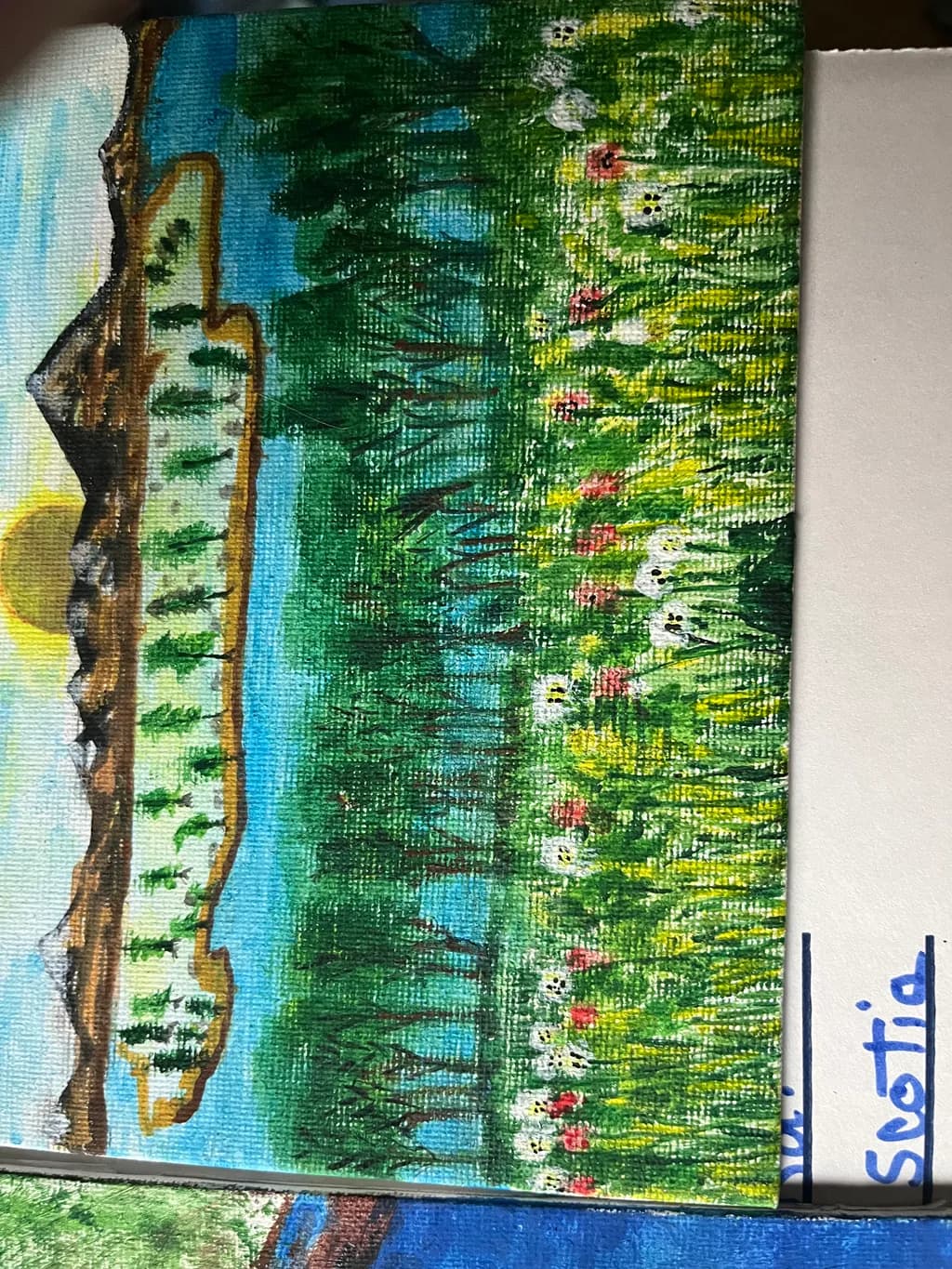 Mountain Meadow Sunrise