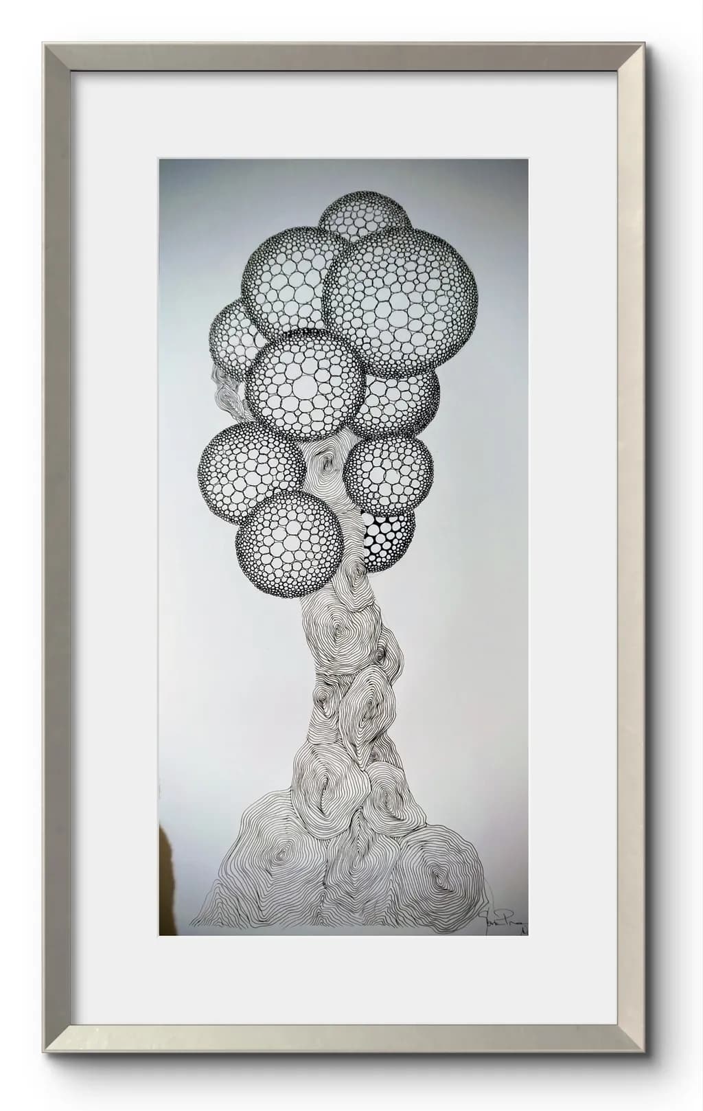 Cellular Bloom