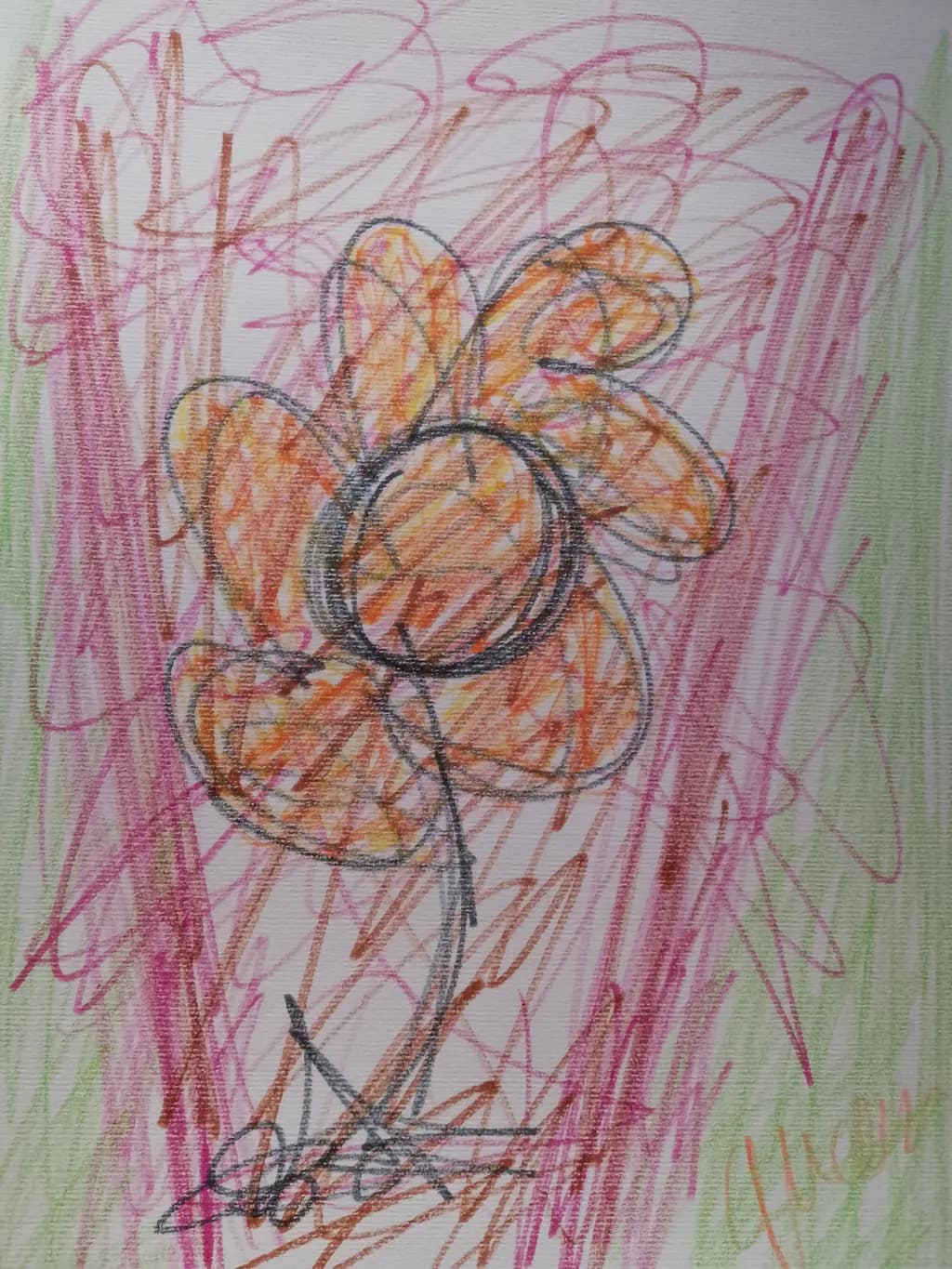 Fiore del giardino