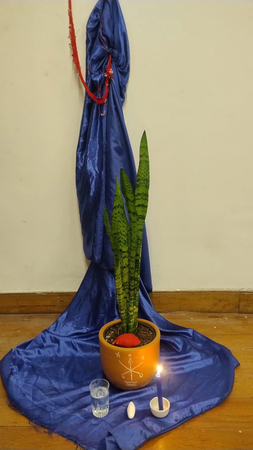 Blue Cloth Altar with Snake Plant
