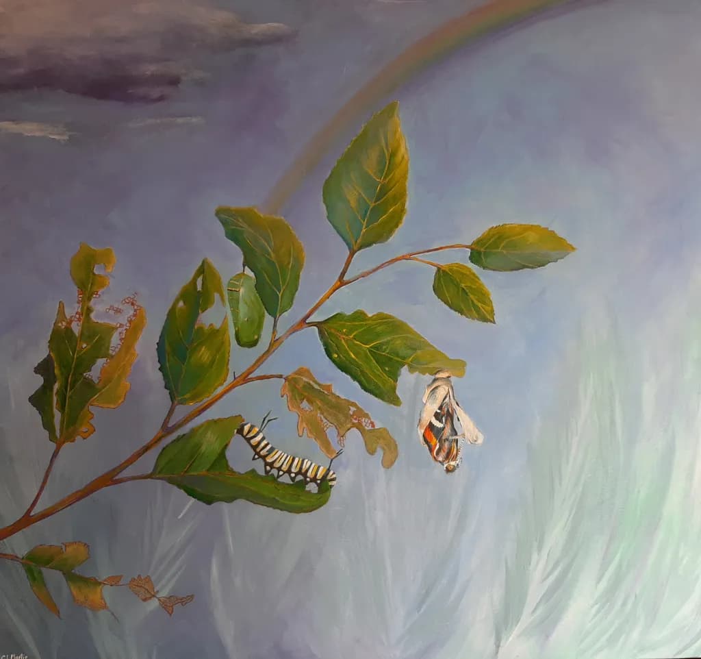 Metamorphosis Branch