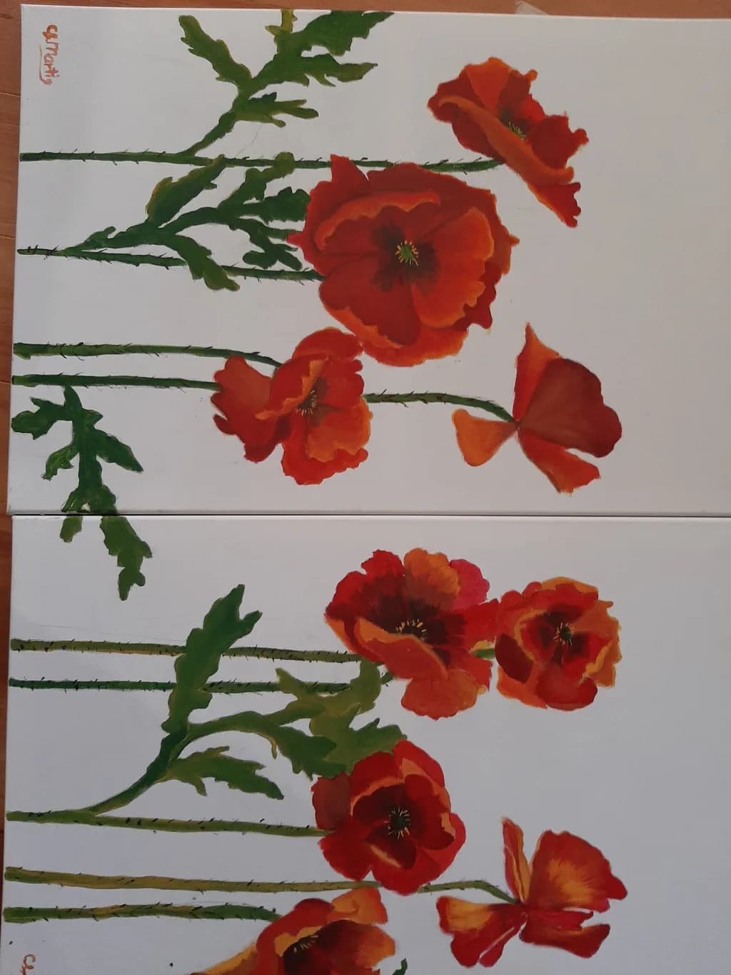Red Poppies Duo