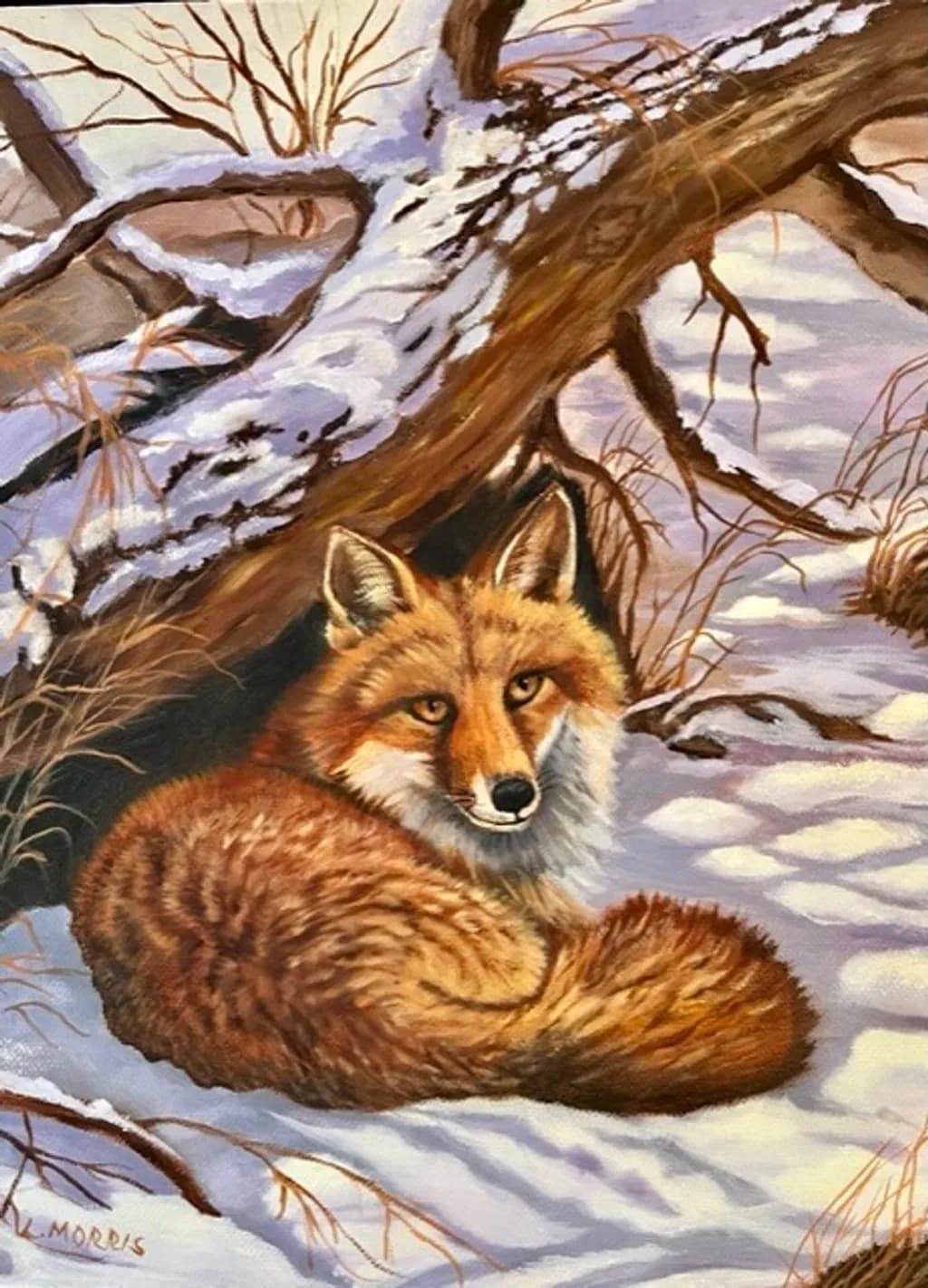 Winter Watcher