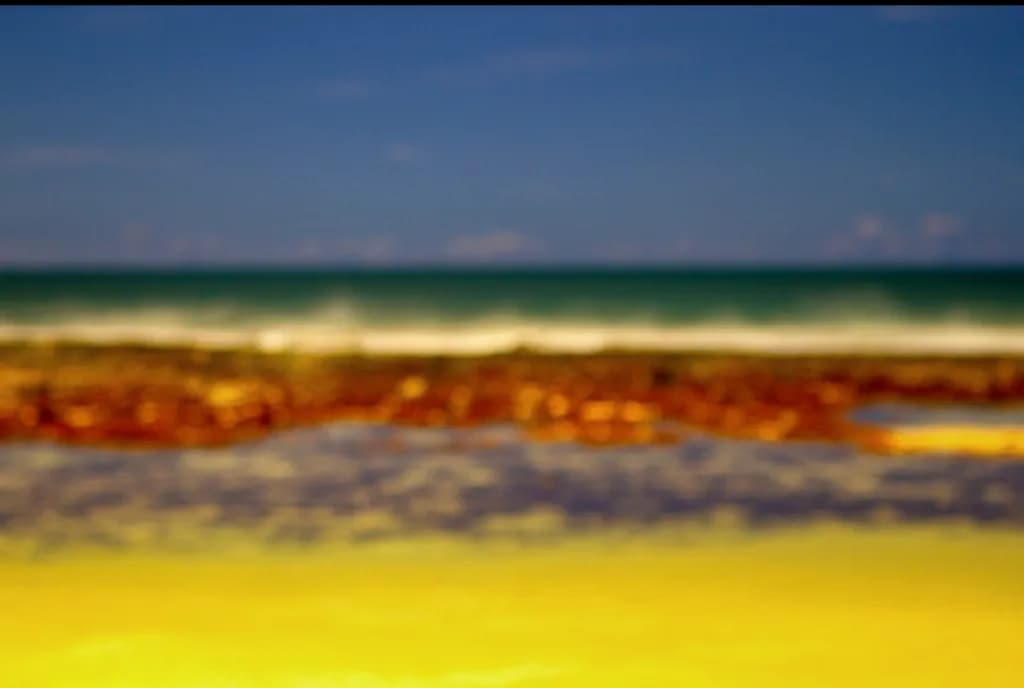 Coastal Horizon Blur
