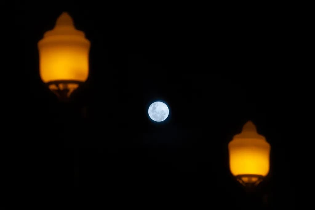 Moonlit Lanterns