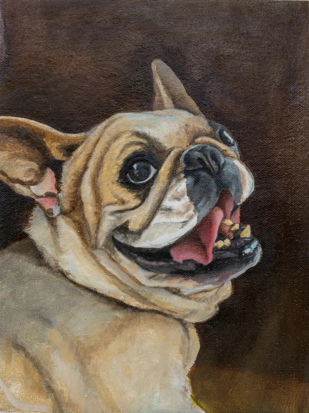 Tulip