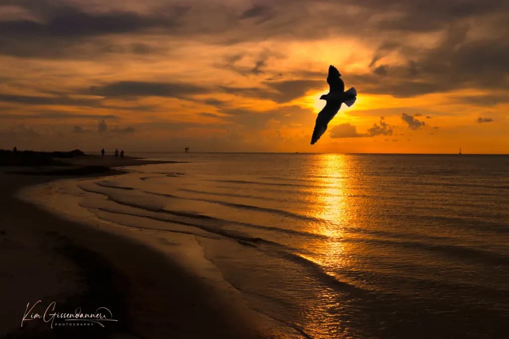 Evening Flight