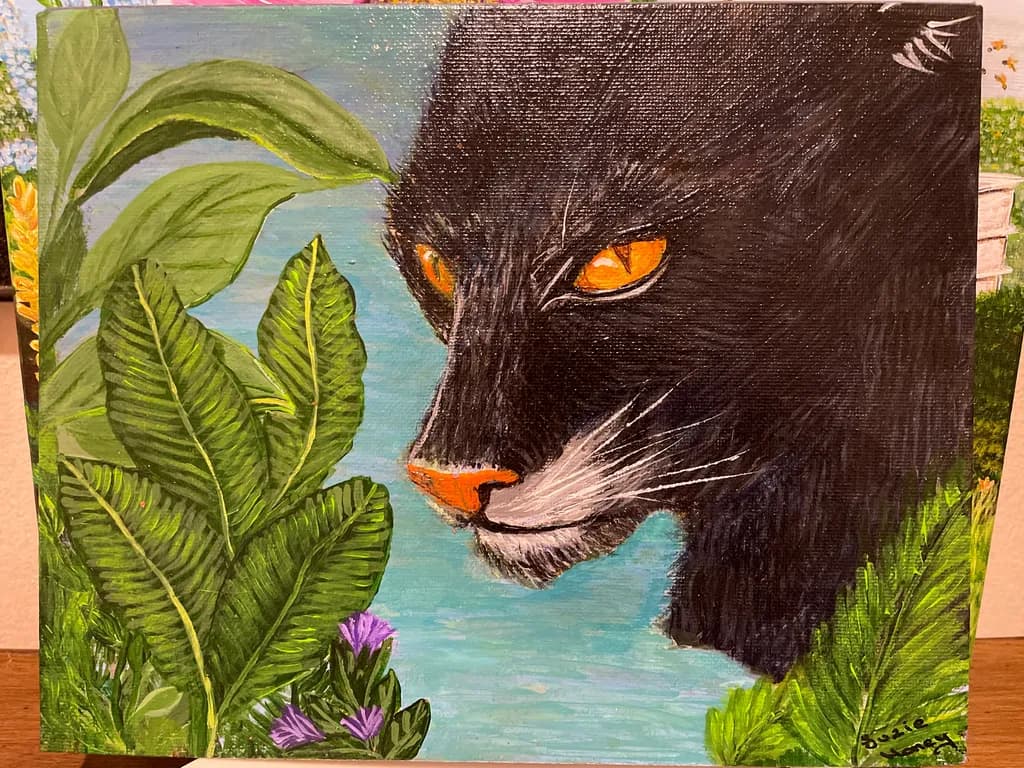 Panther Gaze