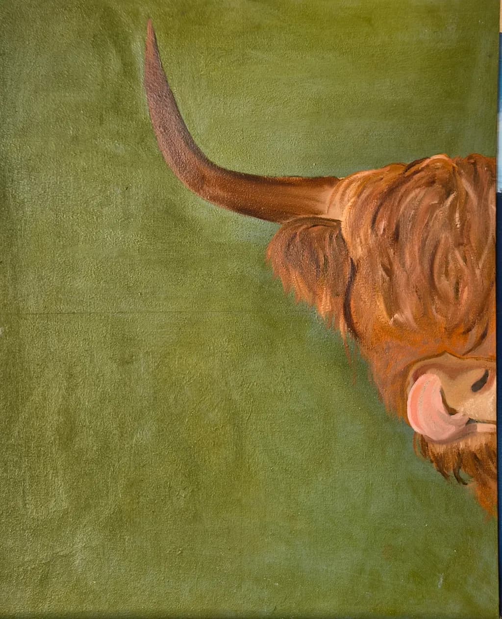 Highland Cow