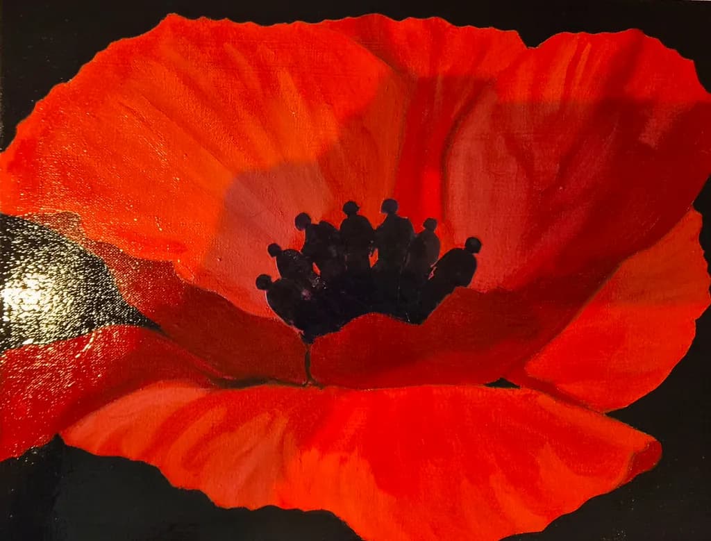 Red Poppy Close-Up