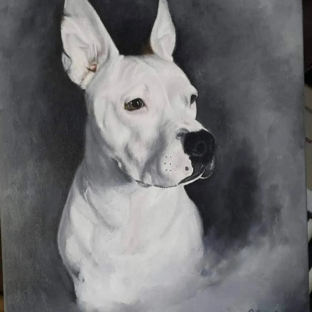 White Dog Portrait