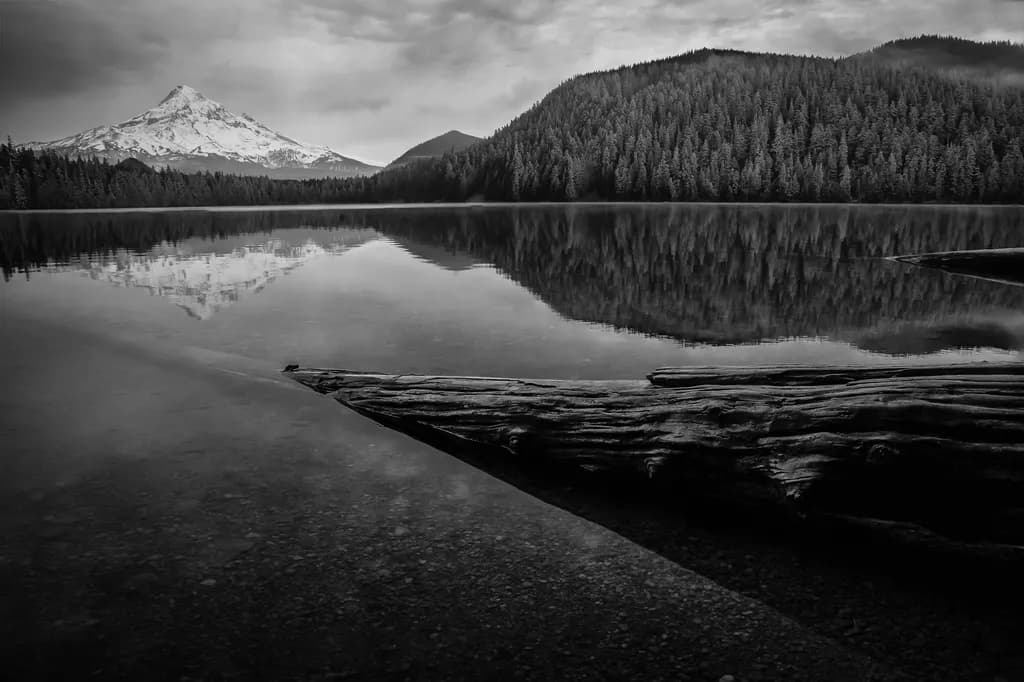 Reflections in Monochrome