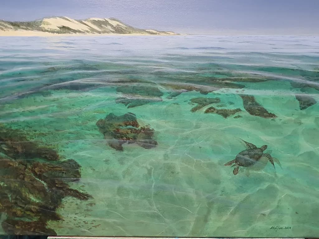 Ocean Turtle Inbound