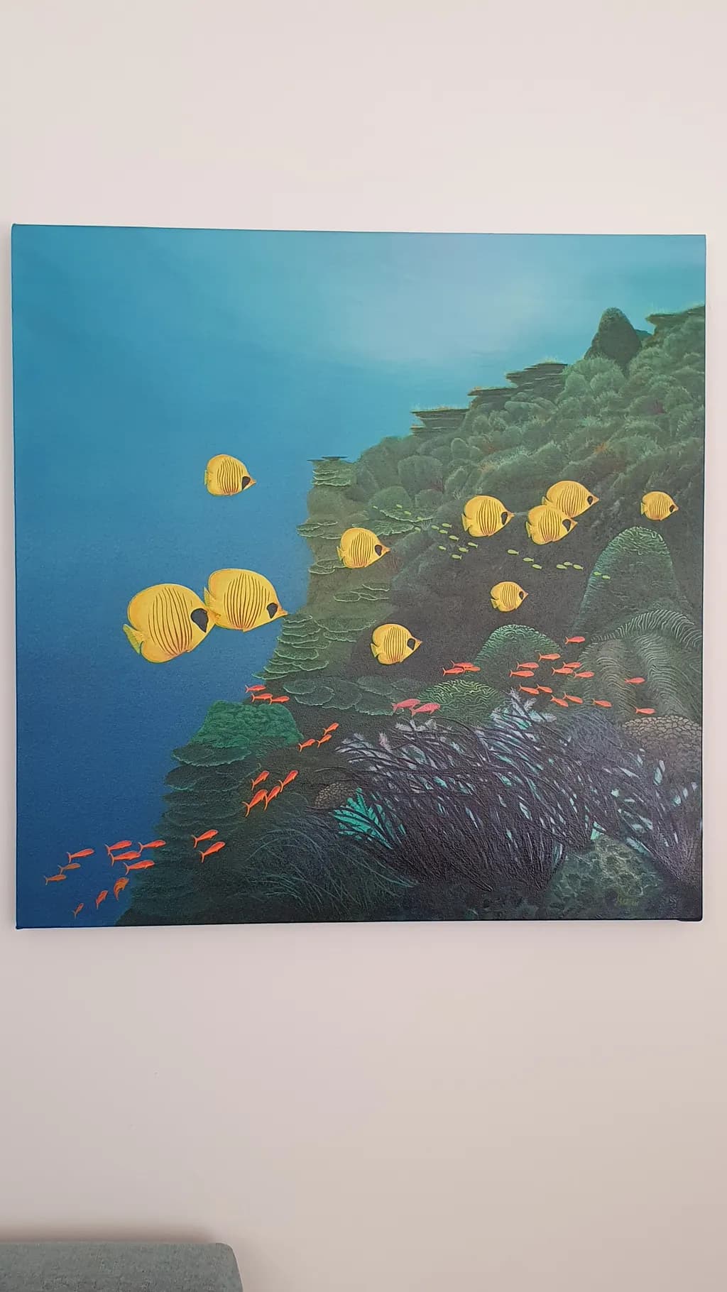 Coral Reef Fish